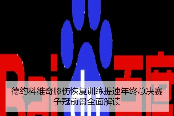 德约科维奇膝伤恢复训练提速年终总决赛争冠前景全面解读