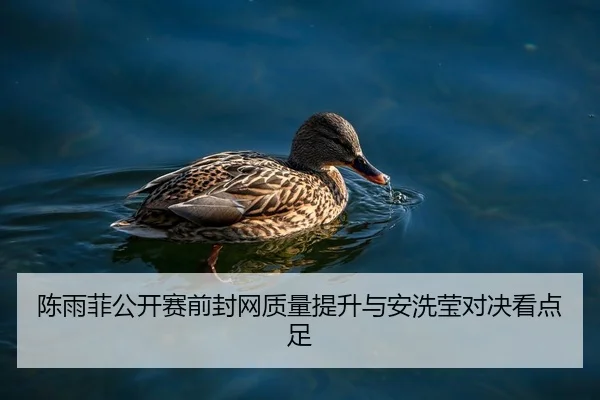 陈雨菲公开赛前封网质量提升与安洗莹对决看点足